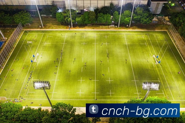 BG大游官网服务体系